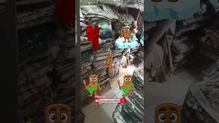 hattimatim tim viral song girl group dance whatsapp #viral #trending #viralvideo #virlsong