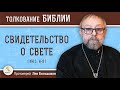 Свидетельство о Свете (Ин.1: 6-8) Протоиерей Лев Большаков. Свидетельство об Иисусе Христе. Предтеча