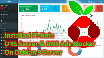 Installasi pi-hole (DNS Server & Ads Blocker) di Debian Server