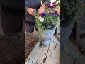 初心者でも簡単！〜冬の寄せ植え〜