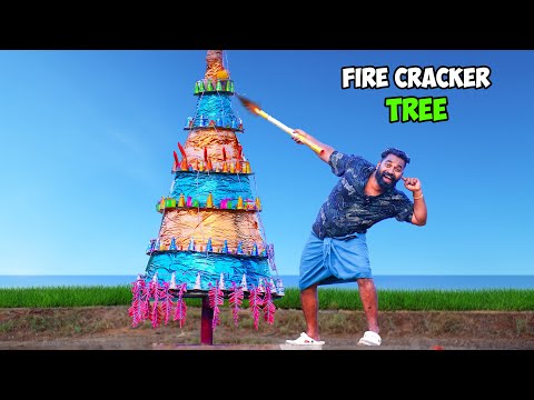 Fire Cracker Tree | പടക്കമരം കത്തിച്ചപ്പോൾ | M4 Tech |