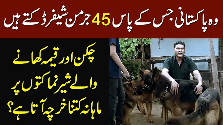 This Pakistani Owns 45 German Shepherd - How Much ...