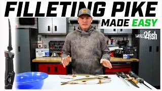 Famous How to Clean a Northern Pike (No Bones!) Wealth