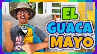 Daniel El Travieso - El Guacamayo De Abu.