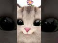 🫣🤣🤦🤭#cutekitty#cat#viralvideo#trendingreels#funny#reelitfeelit#reelkarofeelkaro