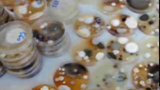 Plateau Technique Institut National Dhygiène Du Maroc