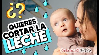 Cómo Cortar La Leche Del Pecho? Fin De La Lactancia