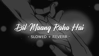 Dil Maang Raha Hai [Slowed Reverb] -Yasser Desai | MusicLovers | Diosic