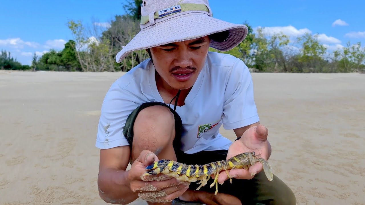 Bắt được tôm tích vàng, ốc móng tay, sò lông, ốc mỡ khi triều xuống