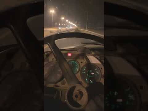 الشديد الشدود شمال الكويت و اذكرو الله افطس الصفر الذود البل عطايا الله البر الربيع ناقه جمل بعير