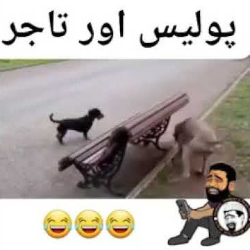 Hahaah 🤣🤣🤣asi or video dekhny k liye hmra chnal subscribe kry sweet kamnny thanu