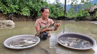 Harvest Fish on the Farm Bring it to the market sell  Building New Life | Trieu Mai Huong