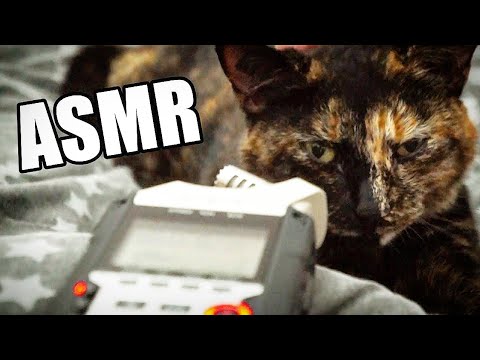 #ASMR CHAT & RONRONNEMENTS 😸 (Relaxation, Binaural, ASMR Français)