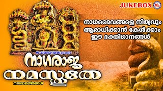 നാഗദൈവങ്ങളെ നിത്യവും ആരാധിക്കാൻ കേൾക്കേണ്ട ഗാനങ്ങൾ |Sarppapattukal |Devotional Songs |NagaRaja Songs