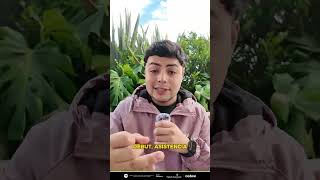 Кадр из ролика «⚽ ¡La Premier arrancó con todo!»