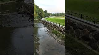 Річка Пиня.#закарпаття #подорожі #відпочинок #river #річка