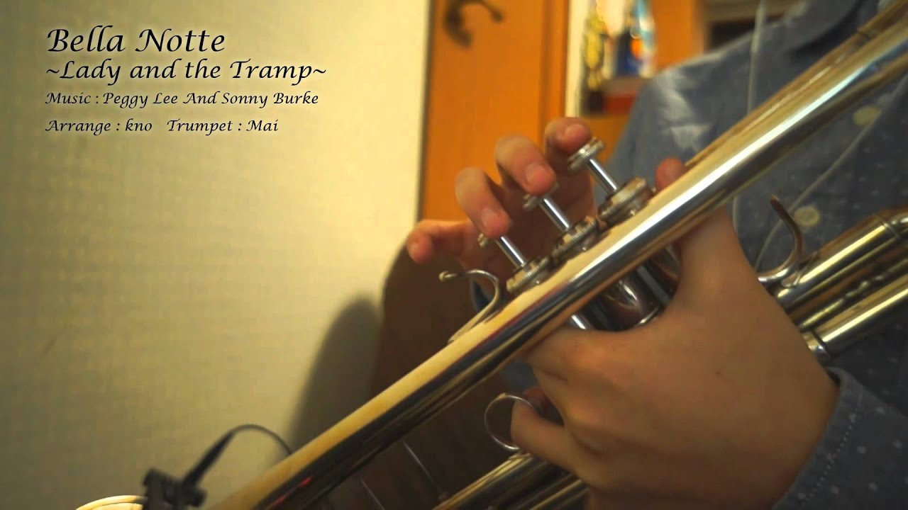 Bella Notte (from DISNEY's 