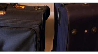 How to Get Rid of Bugs & Pests - YouTube