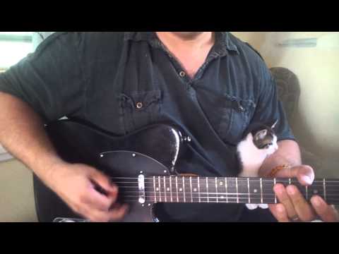 telecaster-style-guitar-demo.-now-with-more-kittens-!