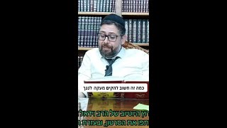 כמה זה חשוב להקים מעקה לגגך