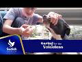Caring for the Voiceless
