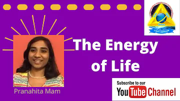 The Energy of Life // Pranahita Mam // Digital Dhyana Swadhyaya Yogam // DAY 17 // Light Workers