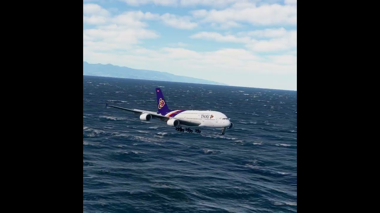 the carelessness of an airplane pilot 0237