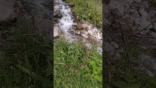 Че-Чкыш.Долина Горных духов