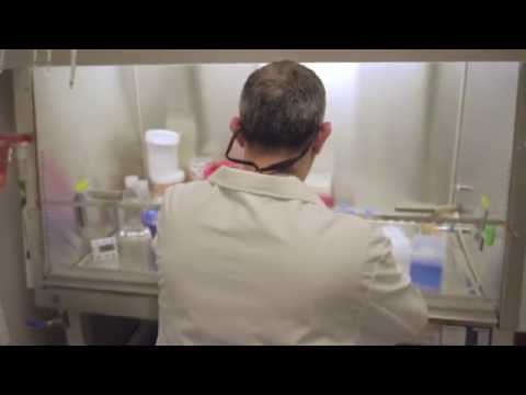 Pfizer Partnerships: Data
