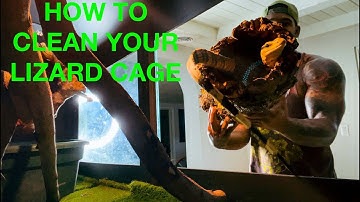 HOW TO SET UP A BABY WATER MONITOR | THE REAL TARZANN