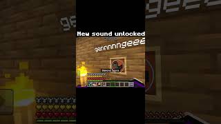 New sound unlocked #dothingsyoudontwanttodo #minecraft #gaming #fahhh