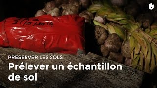 Comment prélever un échantillon de sol