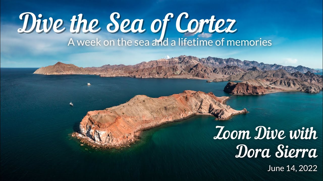 Zoom Dive with Dora to the Sea of Cortez