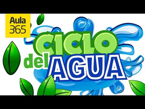 Películas Educativas: El ciclo del agua - Aula365