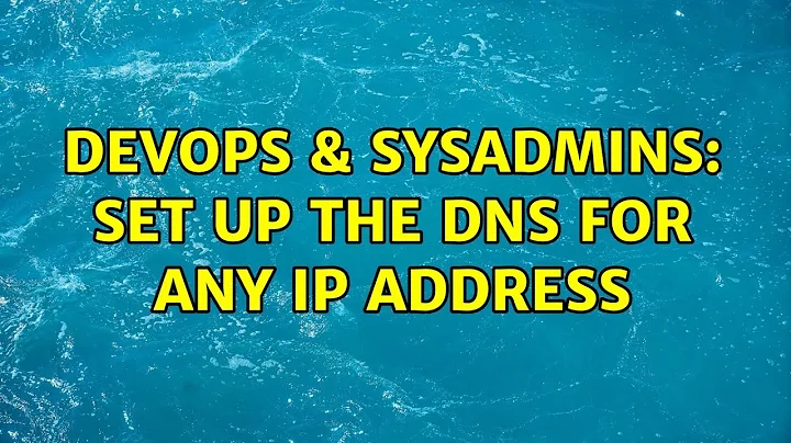 DevOps & SysAdmins: Set up the DNS for any IP address (2 Solutions!!)