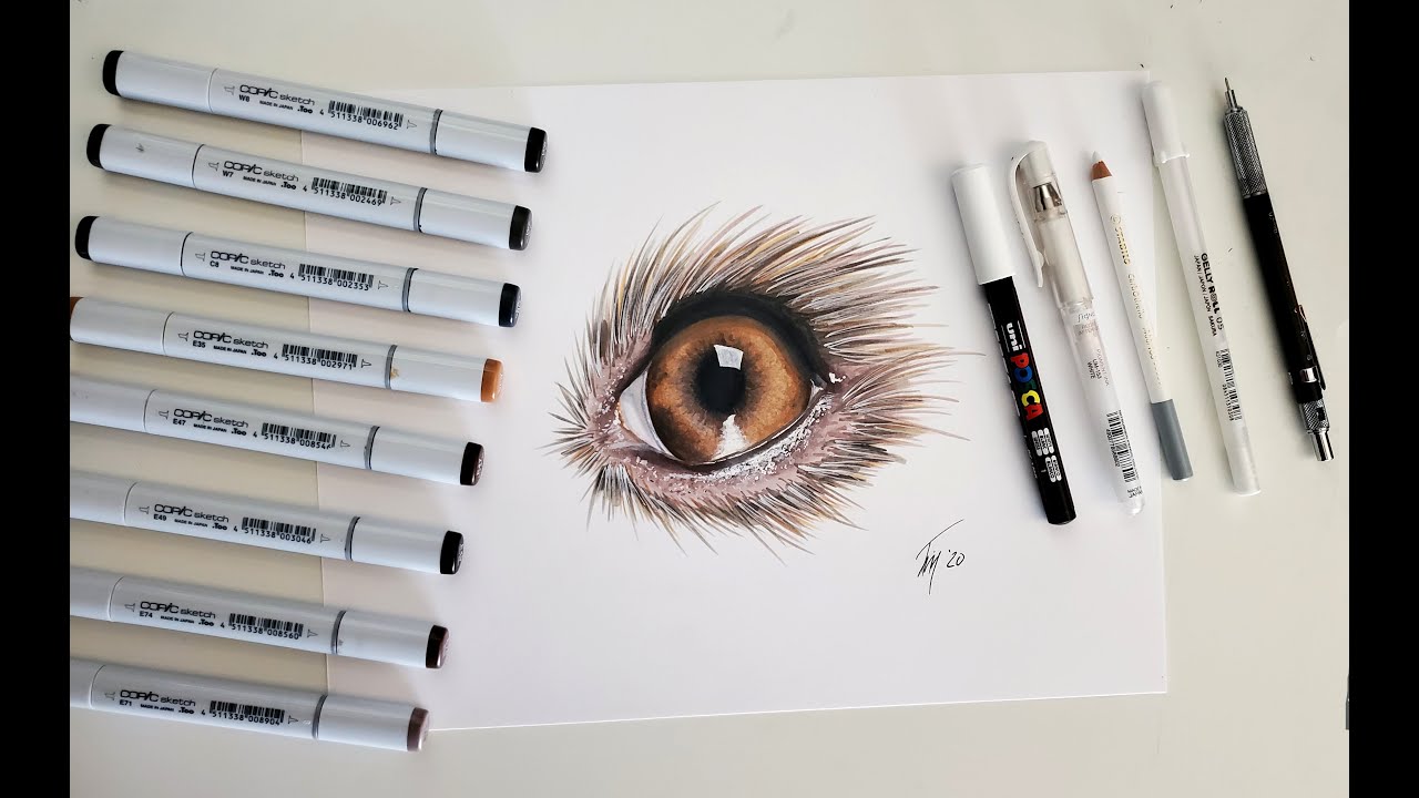 How to Draw a Dog's Eye with Copic Markers - YouTube