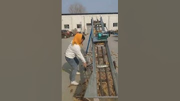 Corn cob conveyor chain corn cob conveyor corn cobs are loaded. The cobs are unloaded from the cage