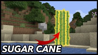 Minecraft Sugar Cane: How To Get Sugar Cane In Minecraft?