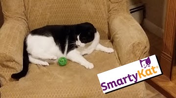 SmartyKat Catnip Chase from Worldwise