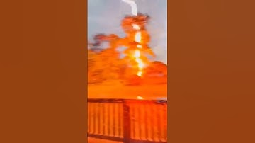 Lightning Strikes the Tree — Nature’s Raw Power Unleashed! part -4 #naturepower #newyork
