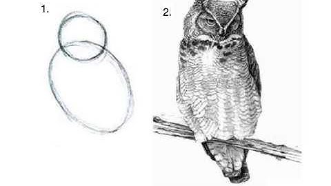 Statistical Rethinking Winter 2019 Lecture 13