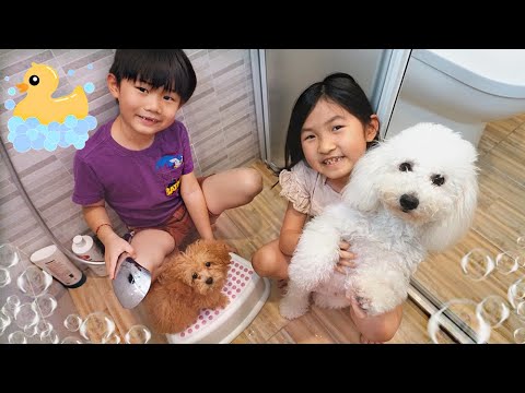 忍笑大挑戰！哈哈鏡變臉~爆水球遊戲！Try Not To Laugh Challenge！Fun For Kids~