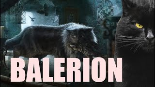 La Historia de BALERION, el gato negro de Rhaenys, la hijita de Rhaegar Targaryen.