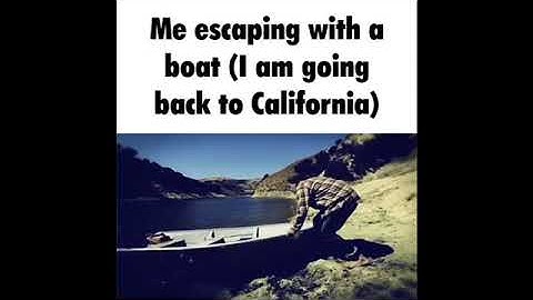 hawaii part ii but it’s discord gifs