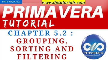 Primavera P6 Tutorials : Chapter - 5.2 : Grouping,Sorting and Filtering in Primaverab P6