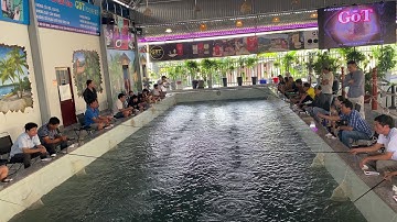 Got Coffee Câu Tôm Giải Trí