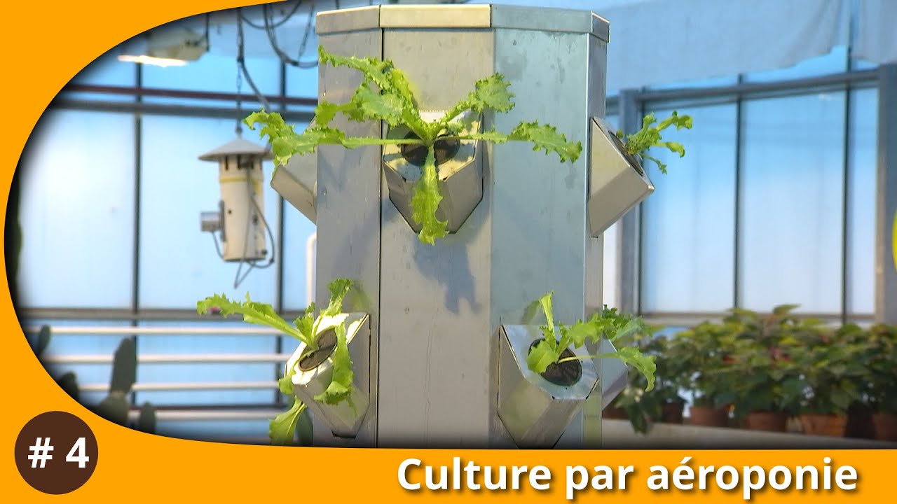 L'atelier du Jardin : Culture par aéroponie
