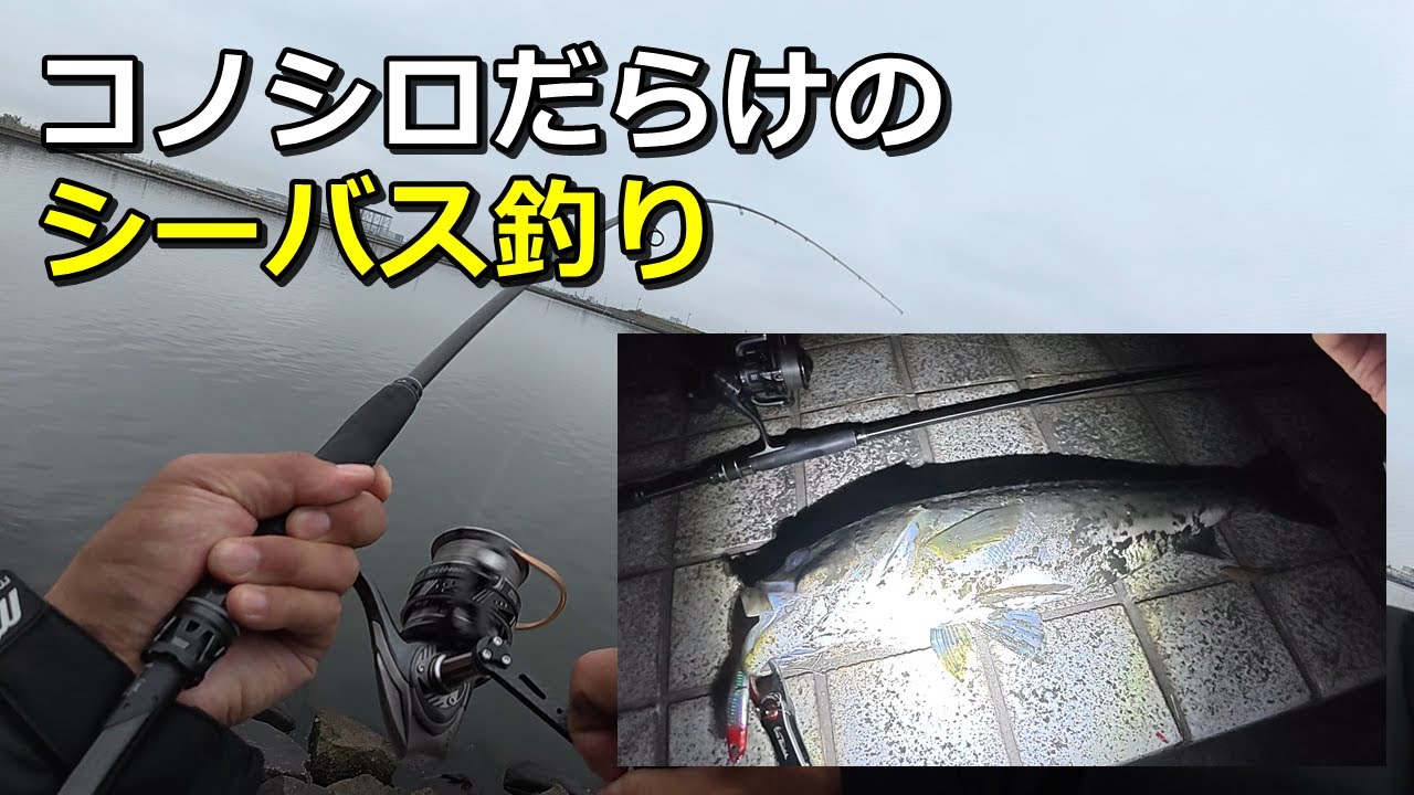 コノシロ溜まる東京湾奥のデイ＆ナイトシーバス
