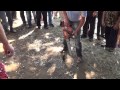 Vjerovali ili ne: I motorkom se može otvoriti pivo (VIDEO)