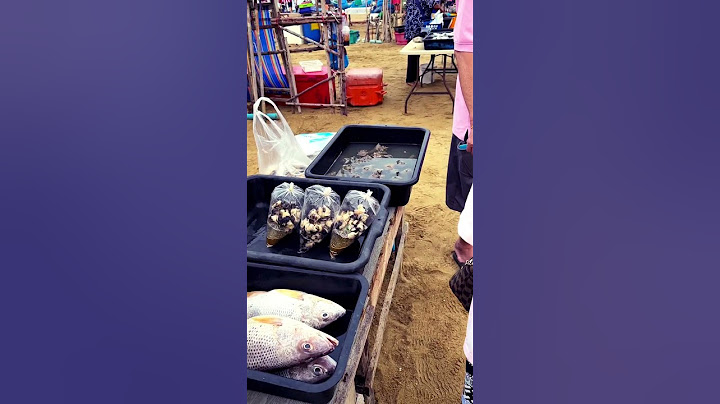 ตลาดอาหารทะเลริมทะเล สดจากเรือ หาดจอมเทียน